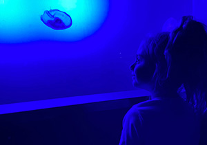 texas-state-aquarium