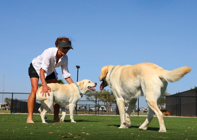 Southern Oaks RV Resort Aransas Pass Texas - Dog park agility course
